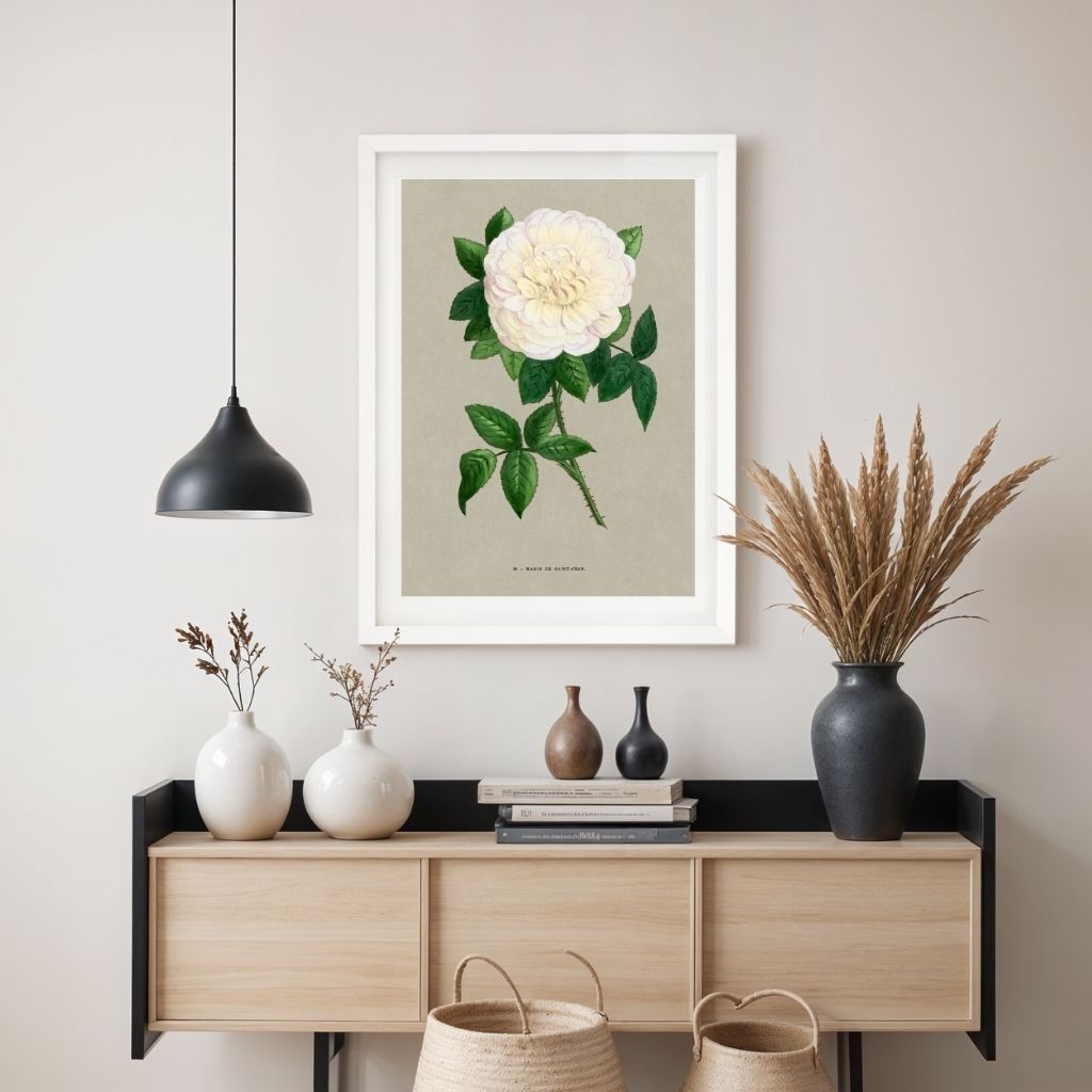 White French Rose