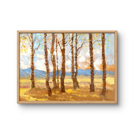 Birches in Autumn