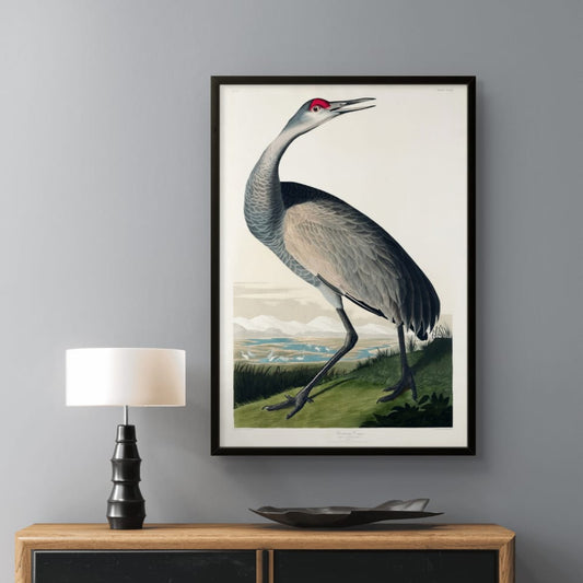 Hooping Crane - James Audubon abstract art print featuring gold and silver tones