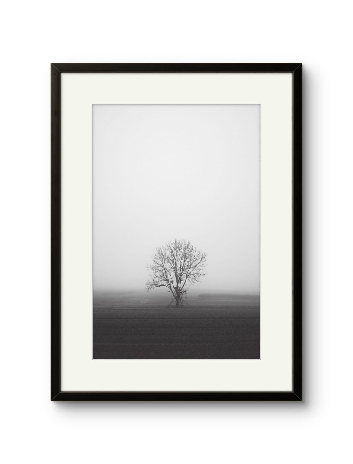 Lone Tree