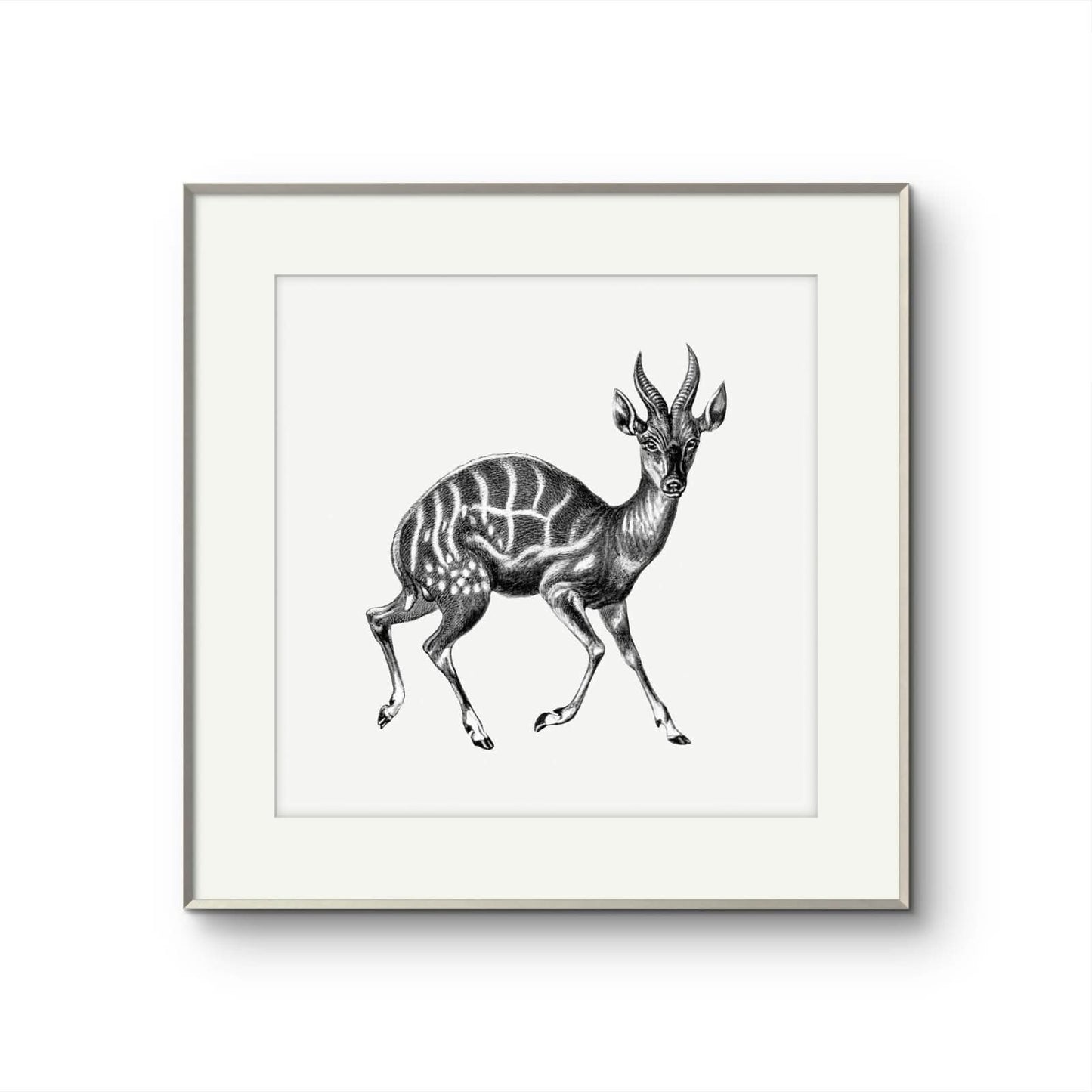 Vintage Gazelle
