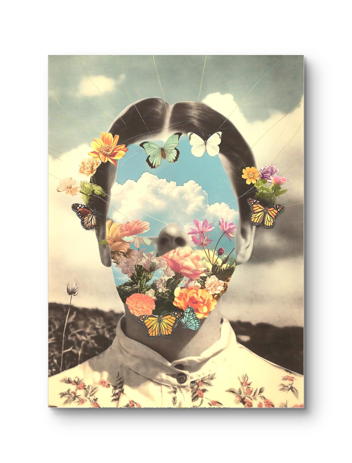 Life is a bed of roses