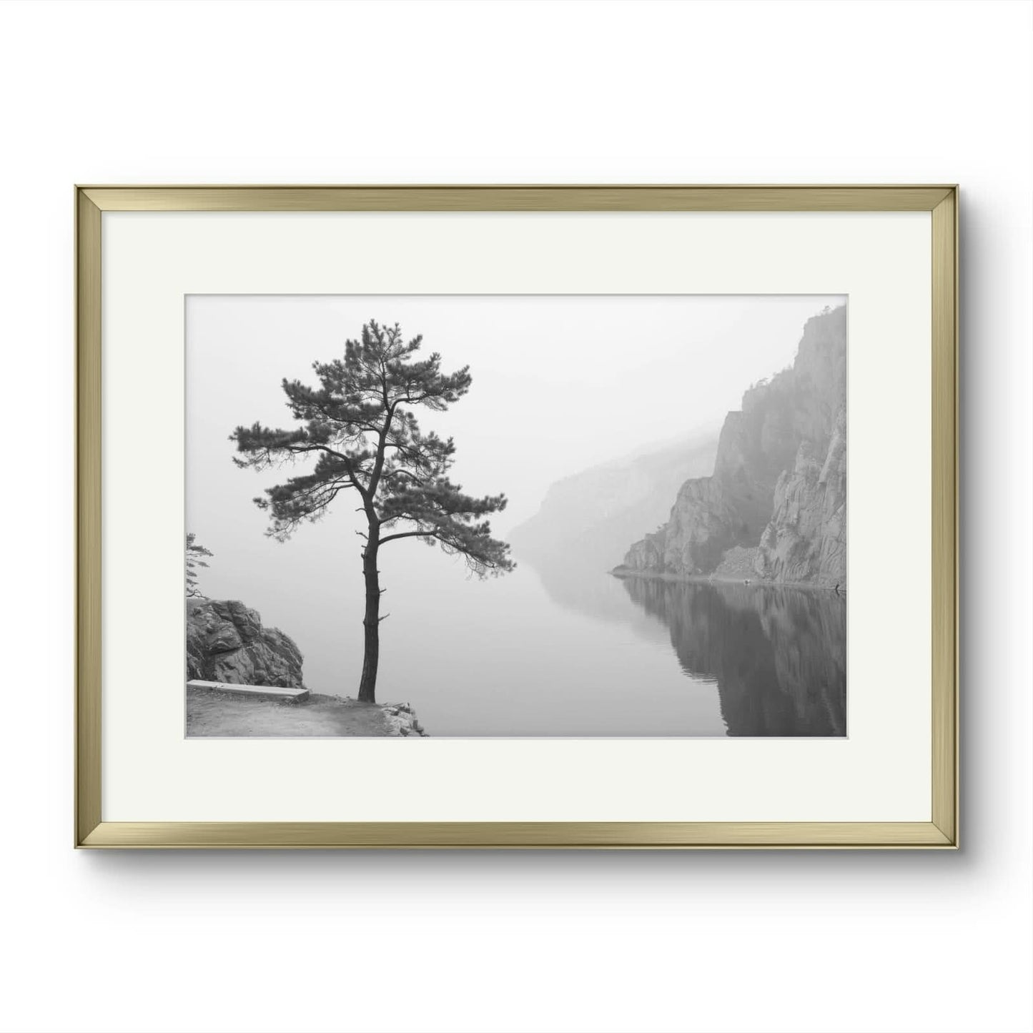 Tree on a lake
