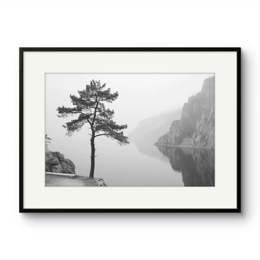 Tree on a lake