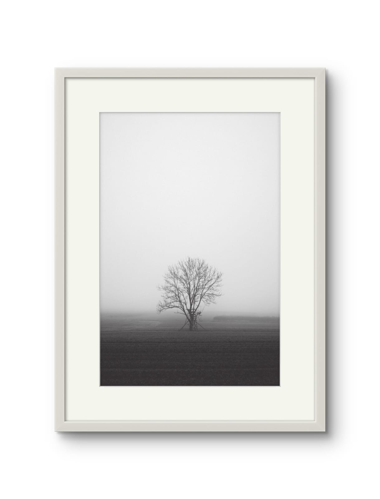 Lone Tree