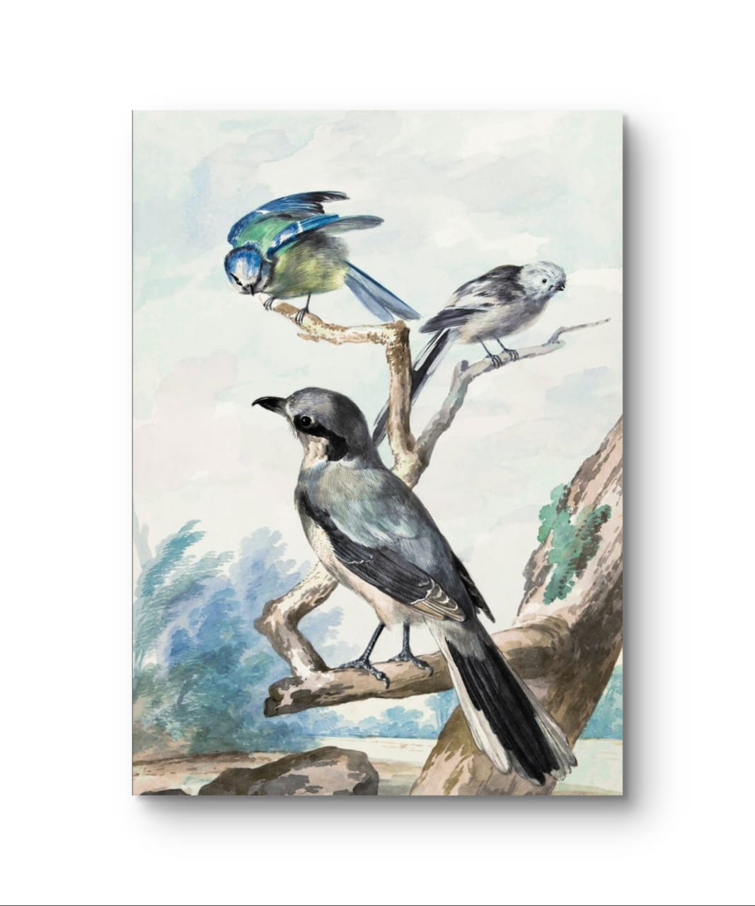 Three Birds – Premium Abstract Art Print