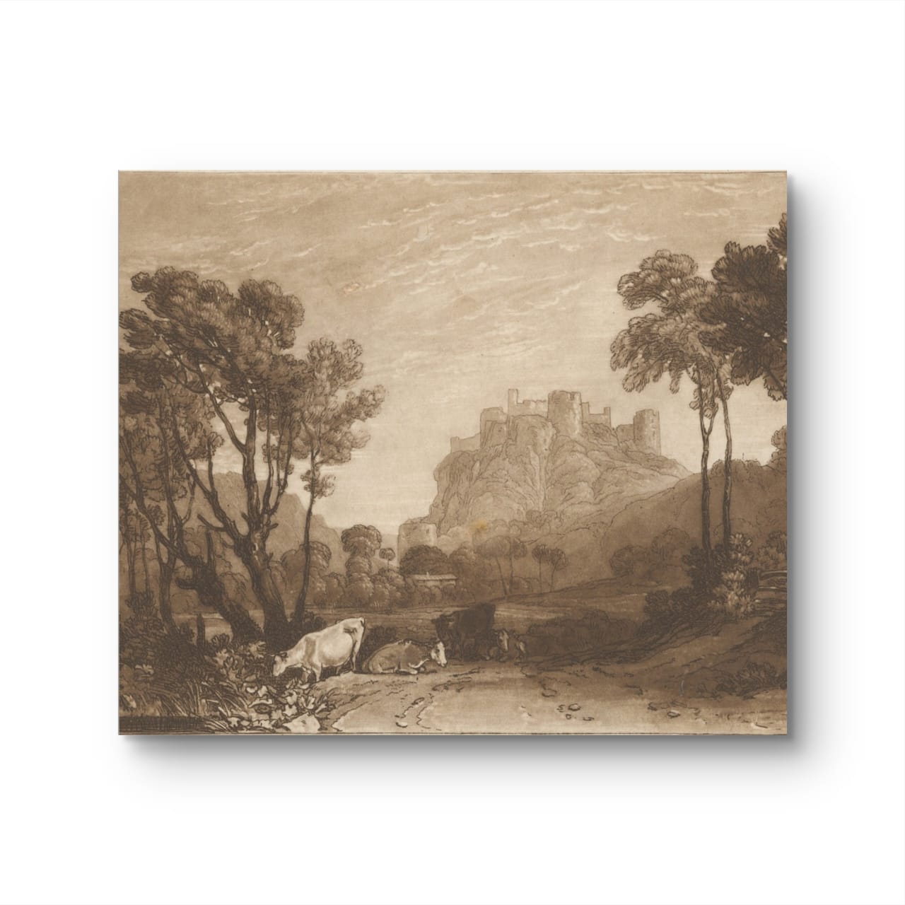 The castle above the meadows