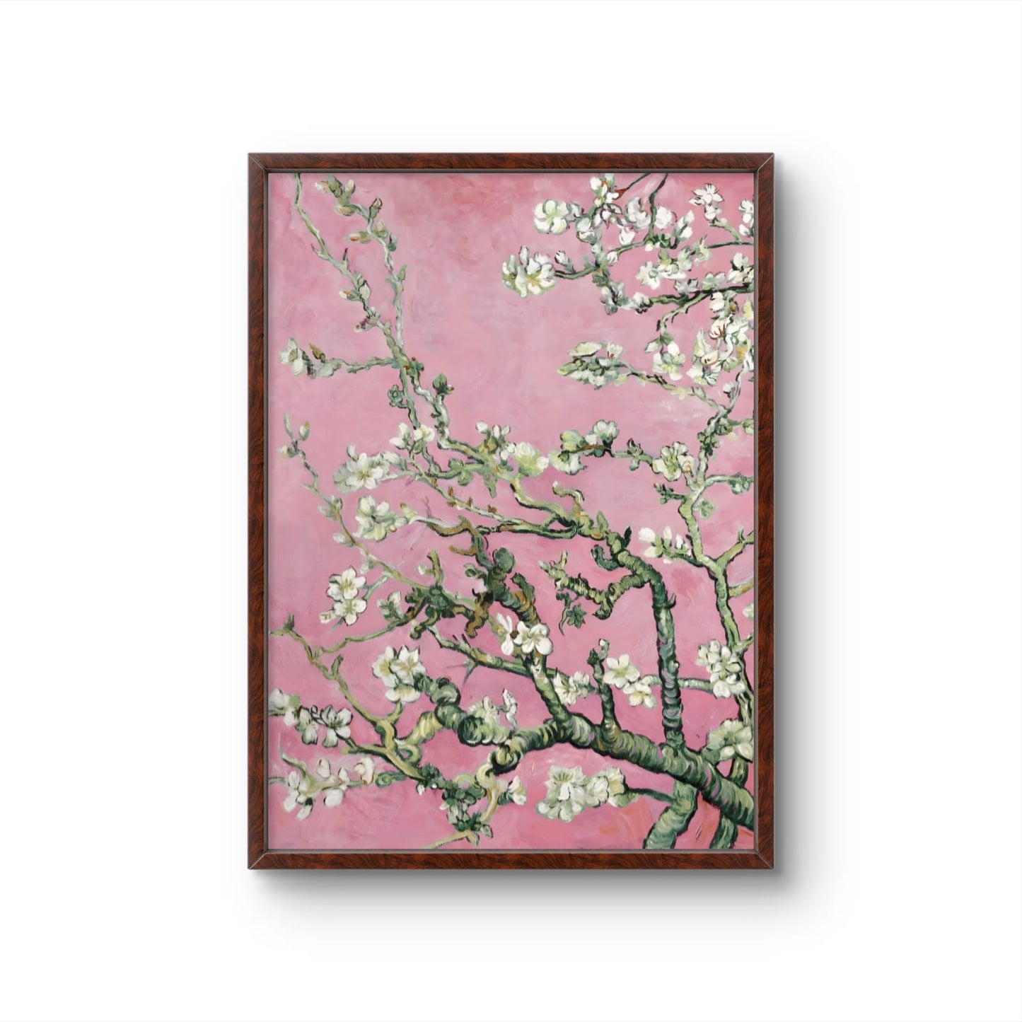 Pink Blossoms