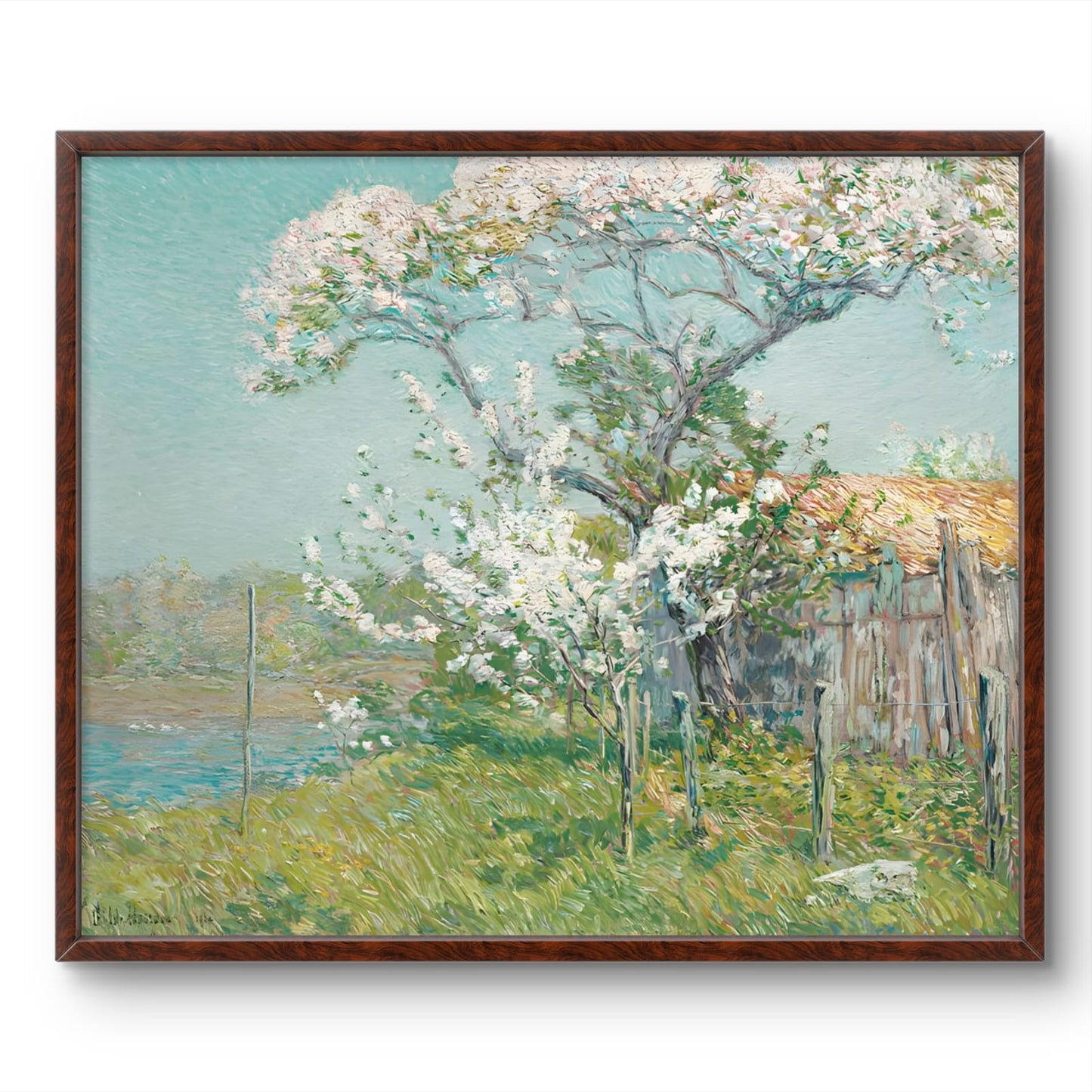 Apple Tree in Bloom