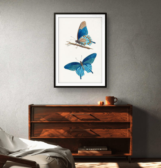 Framed artwork of two blue butterflies on a gray wall above a wooden cabinet.