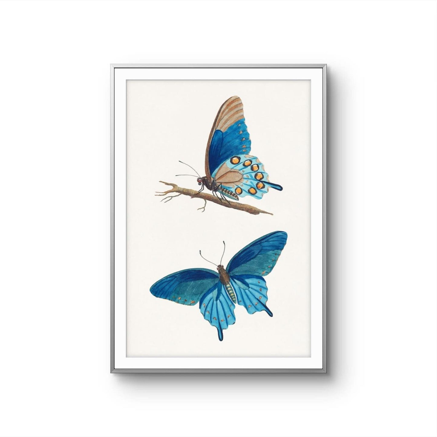 Framed artwork of two blue butterflies on a branch against a white background