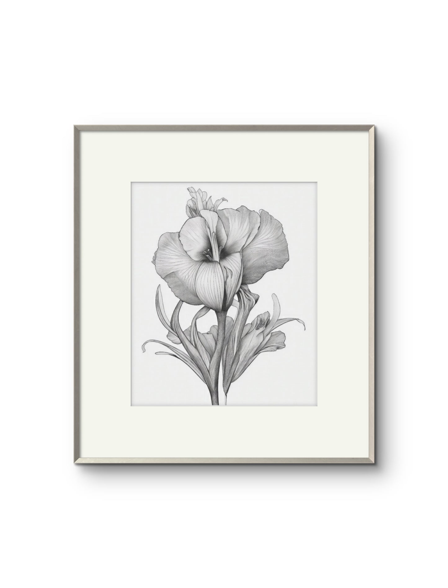 Vintage Illustrated Hibiscus