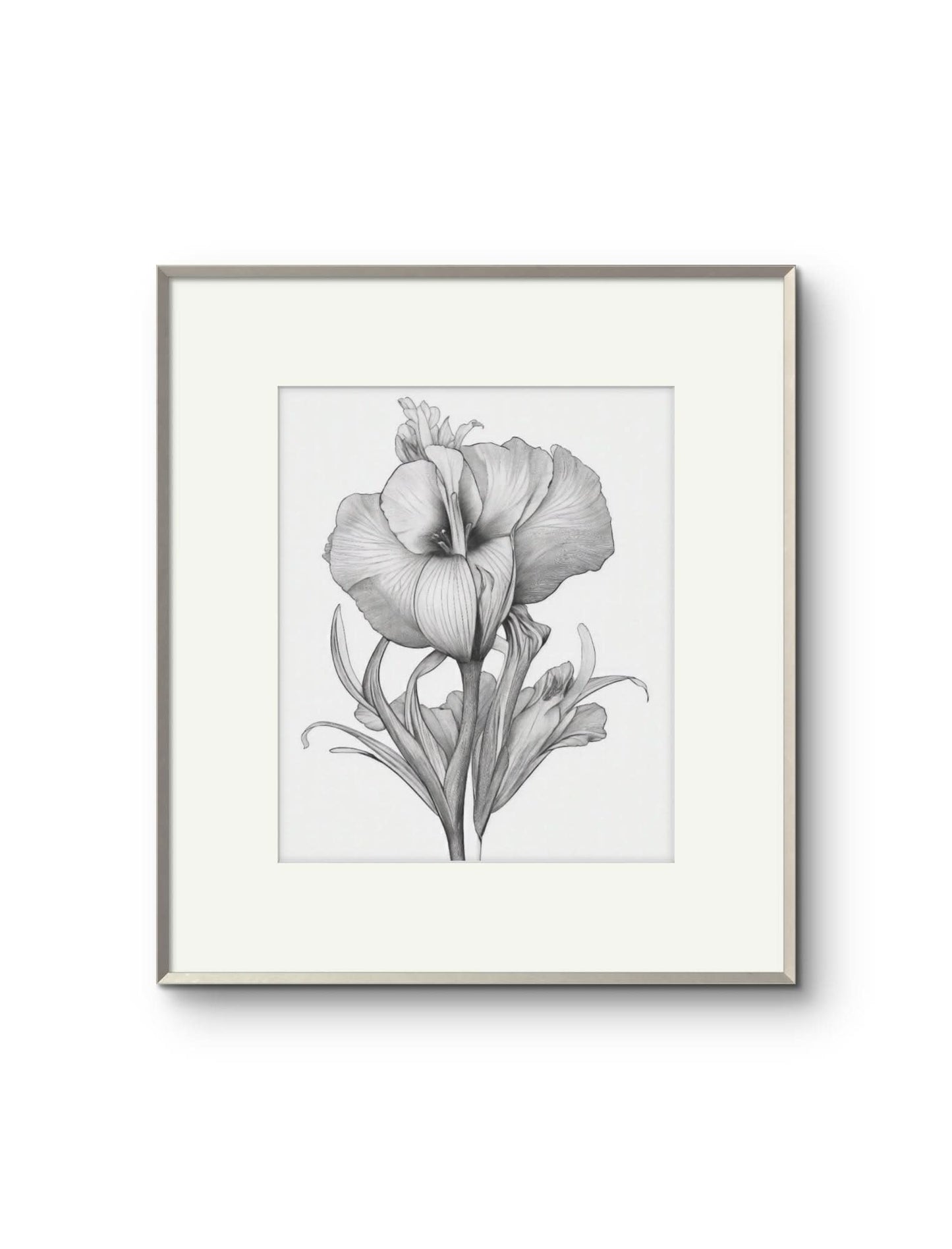 Vintage Illustrated Hibiscus