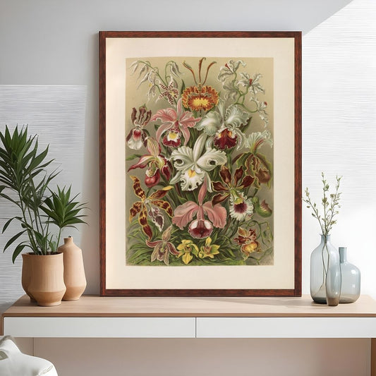 Flowers illustration from Kunstformen der Natur- Ernst Haeckel