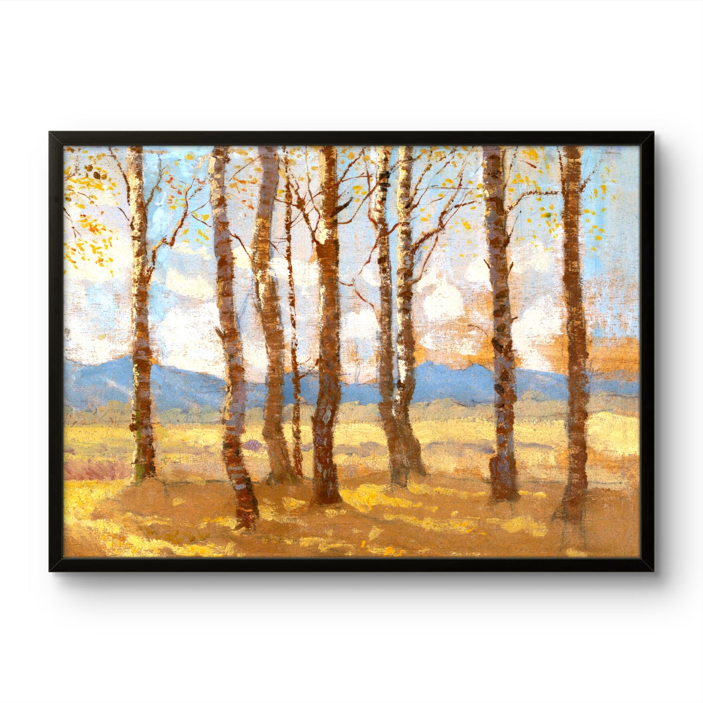 Birches in Autumn