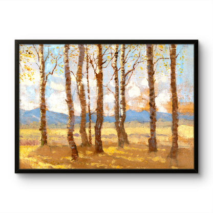Birches in Autumn