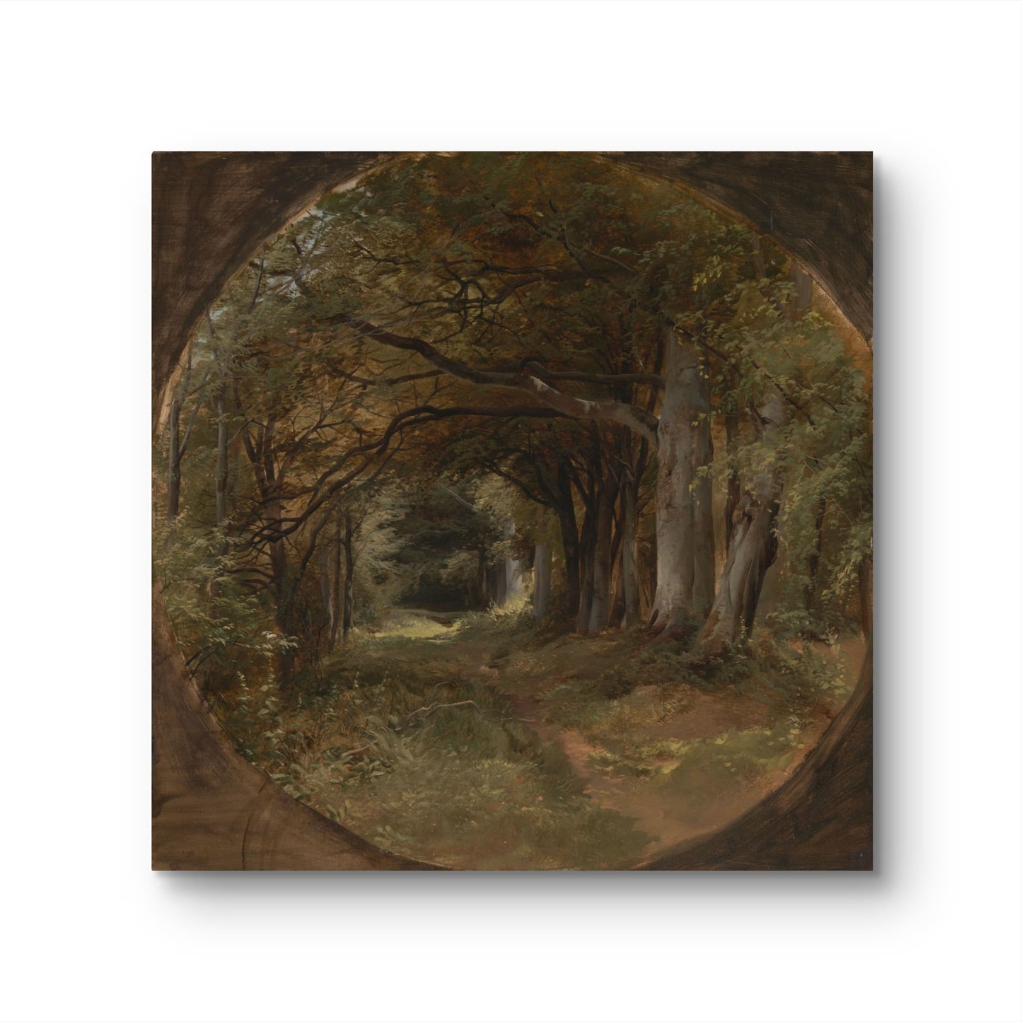 Landscape (Gunton Park, Beech Glade) - John Middleton