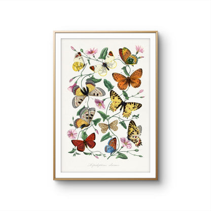 Framed artwork of butterflies and flowers on a white background