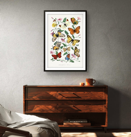 Framed butterfly artwork on a gray wall above a wooden cabinet.