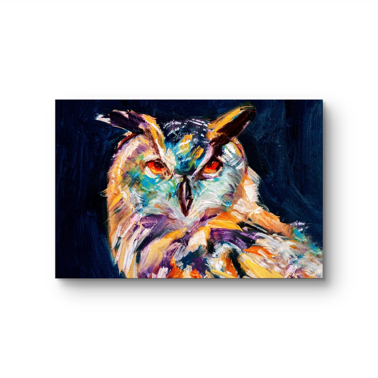 The Owl