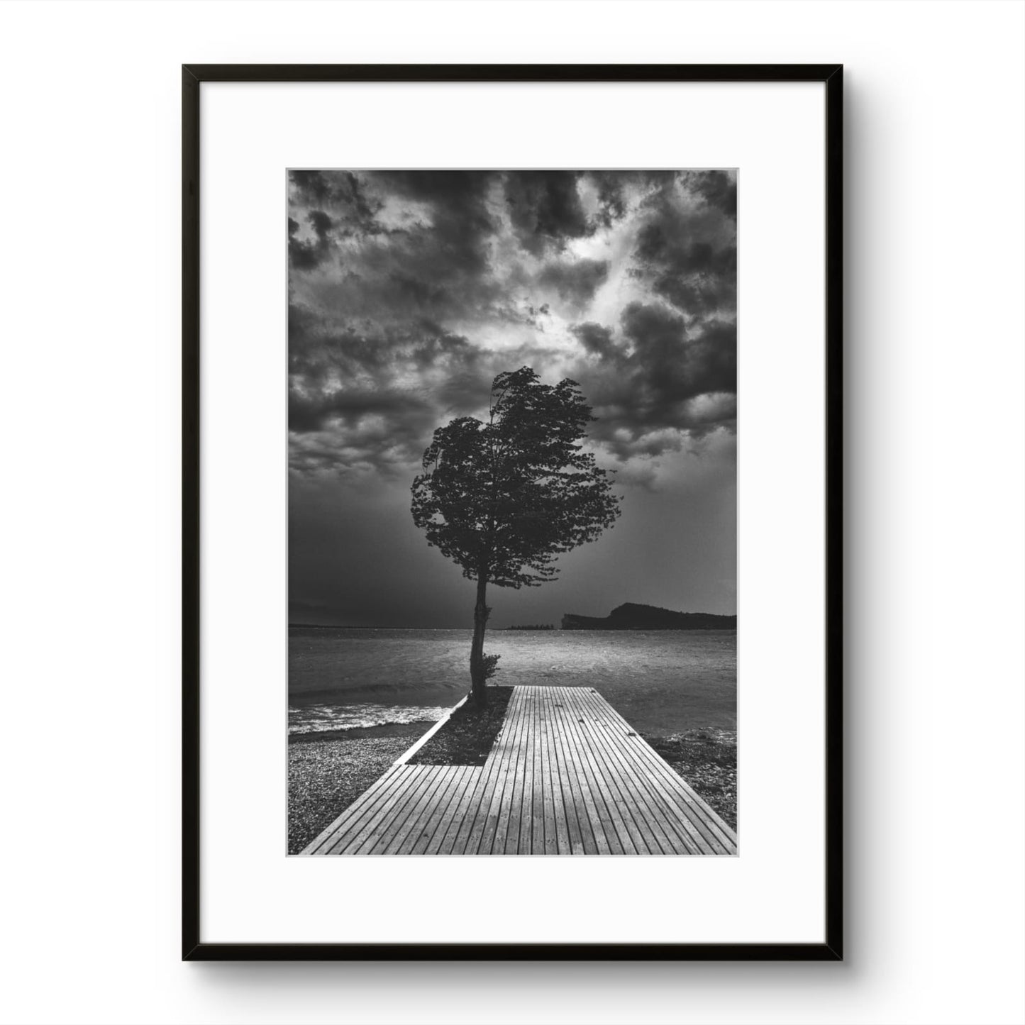 Windy Seaside