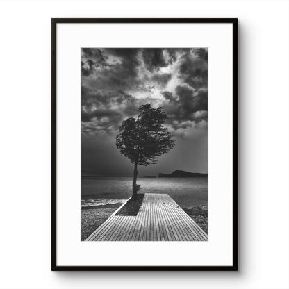 Windy Seaside