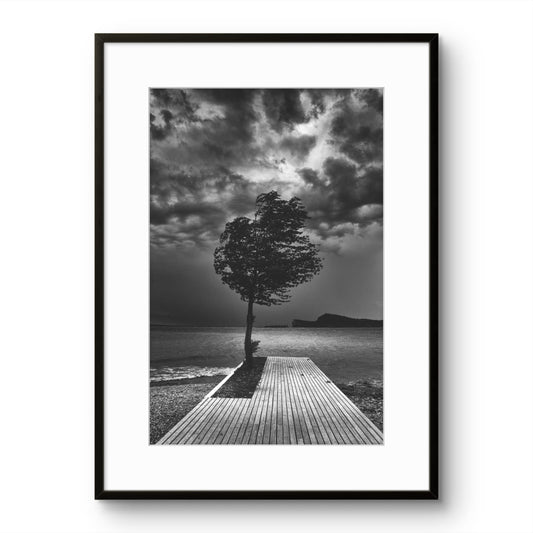 Windy Seaside