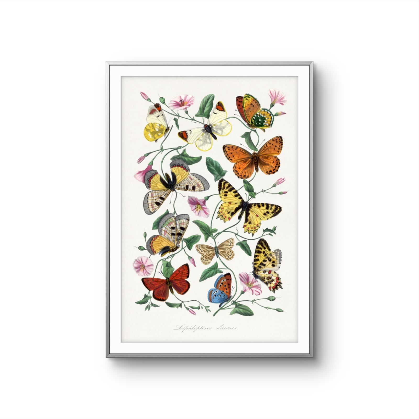 Framed artwork of butterflies and flowers on a white background