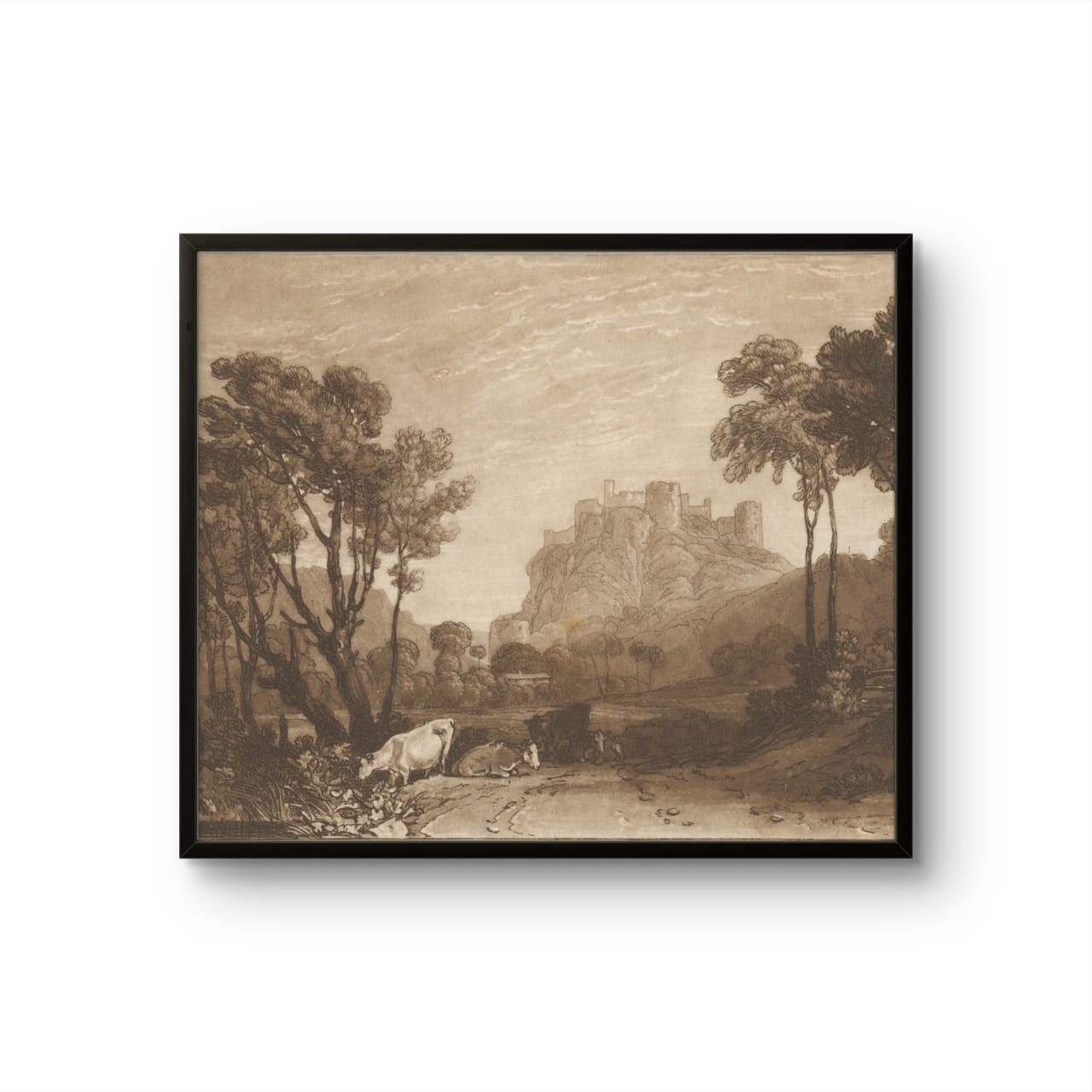 The castle above the meadows