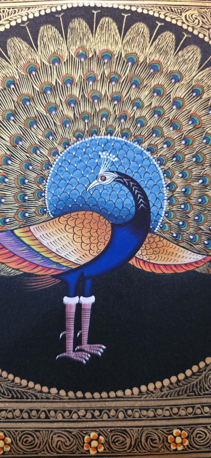 Colorful peacock illustration on a black background with decorative border