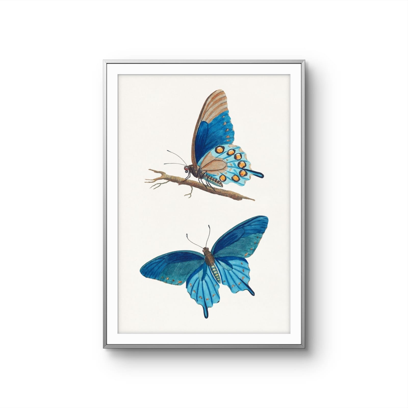 Framed artwork of two blue butterflies on a branch against a white background