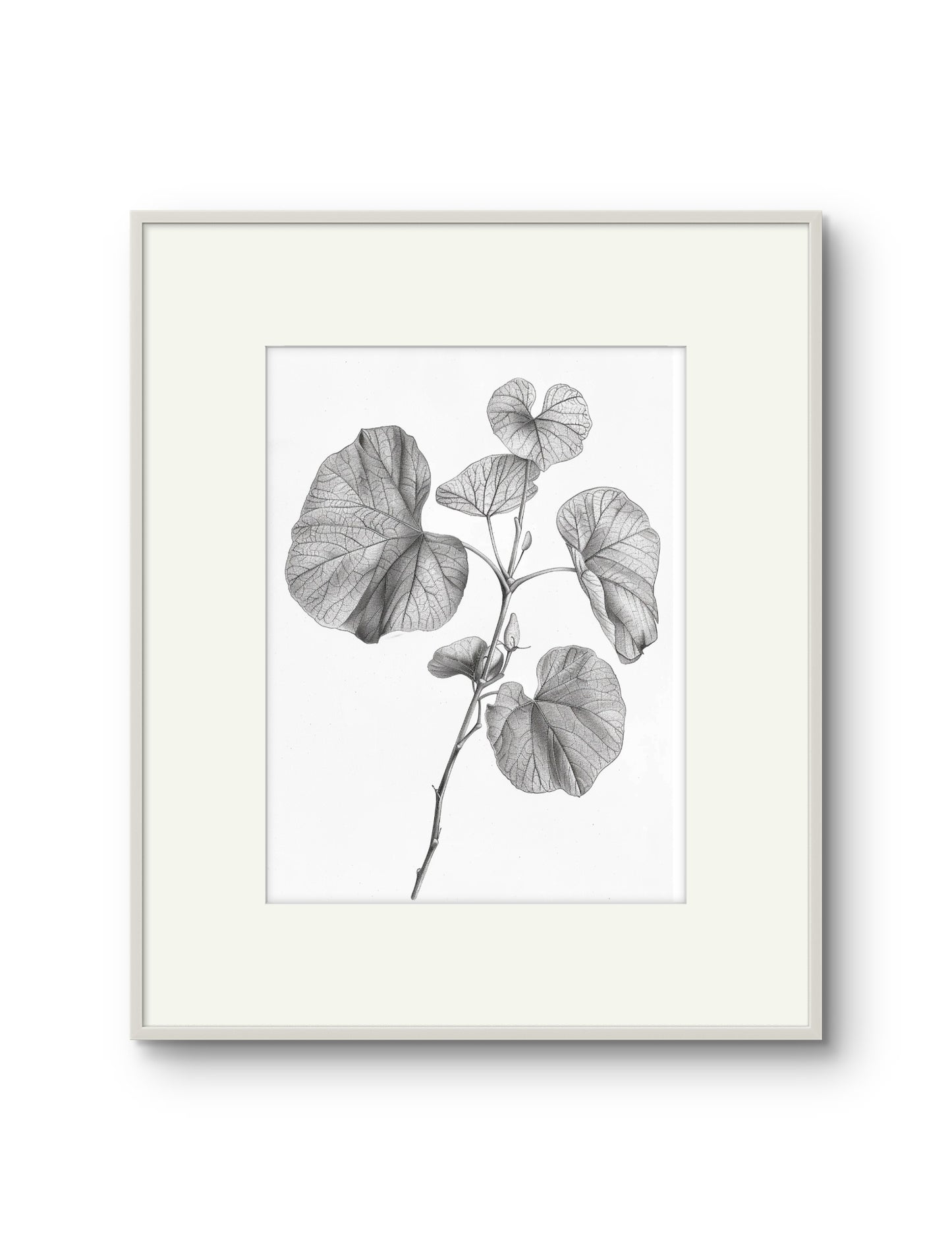 Vintage Illustrated Leaves