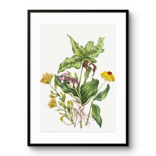 Floral Abstract
