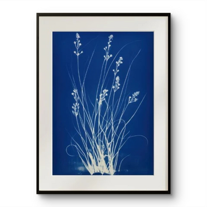 Indigo Wildflowers