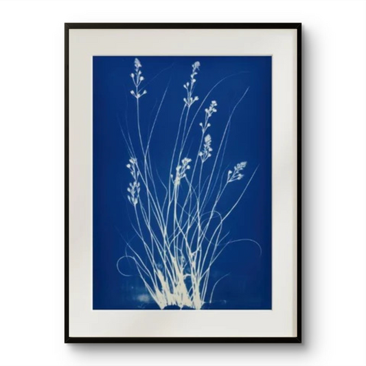 Indigo Wildflowers